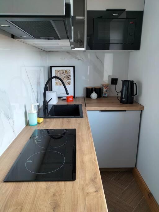 Uroczy W Centrum Krakowa Apartment Krakow